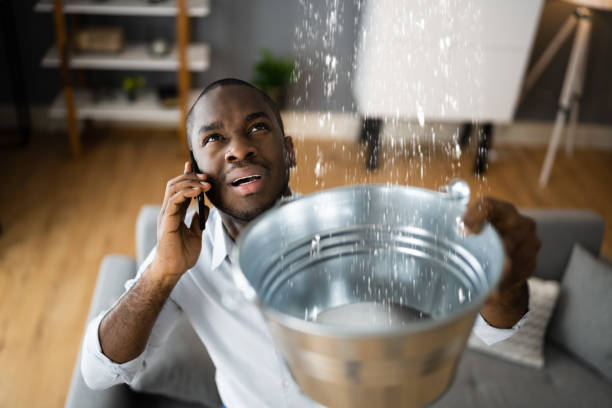 Best Water damage contractors near me  in Clayton, DE