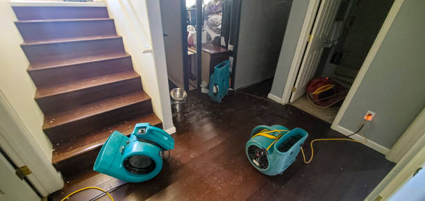 Professional Water damage restoration in Clayton, DE