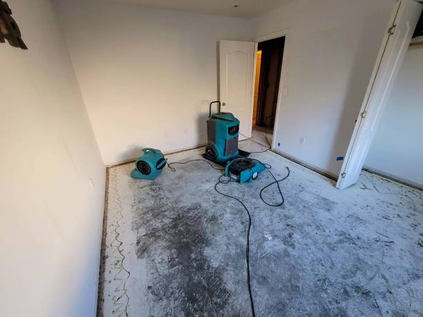 Best Flood restoration services  in Clayton, DE