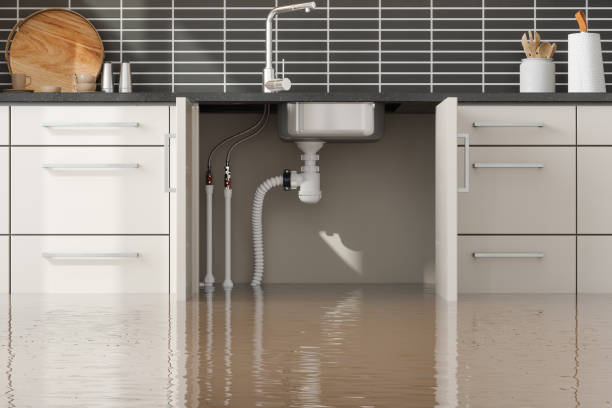 Best Residential water damage restoration  in Clayton, DE