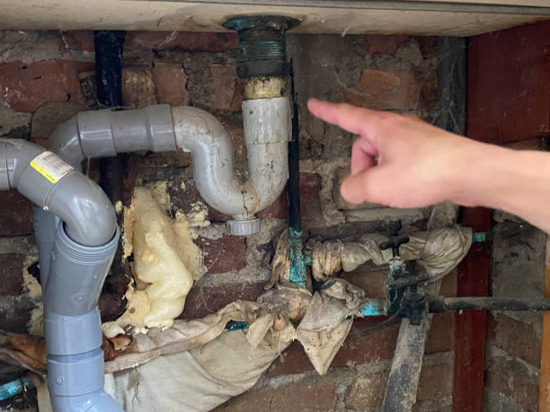 Best Ceiling water damage repair  in Clayton, DE
